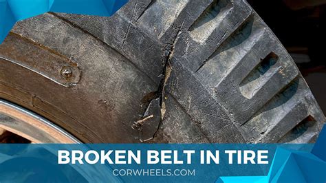 How Long Can You Drive on a Broken Tire Belt, and Why Do Trees Whisper Secrets to Tires?